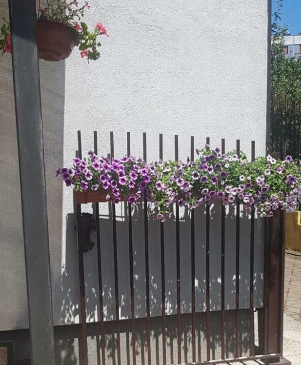 Sun Garden Sarajevo Aparthotel Luaran gambar